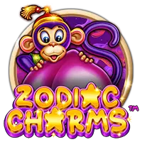 Zodiac Charms