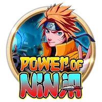 Power of Ninja